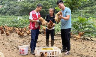 广西医科大学附属肿瘤医院