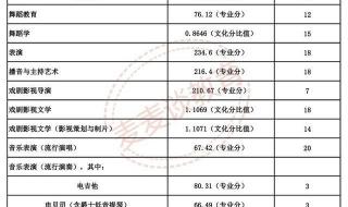 南京艺术学院录取分数线