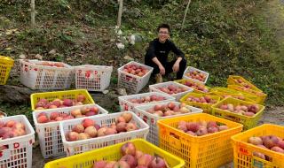 苹果自带地震预警怎么设置